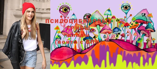 прущая мука Абинск