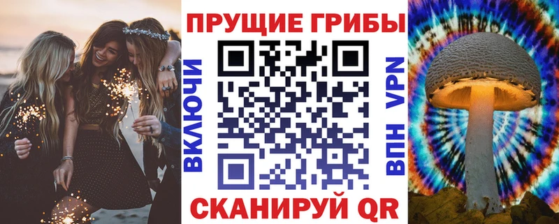 Псилоцибиновые грибы прущие грибы  мориарти как зайти  hydra ССЫЛКА  Алапаевск  цена наркотик 